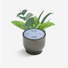 Sprig Multi-Use Infusion Pod