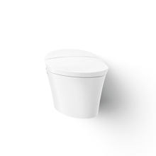 Veil One-Piece Elongated Dual-Flush Smart Toilet with Stainless Steel Wand that Offers Adjustable Spray Shape, Position, Water Pressure, Temperature, Pulsate, and Oscillate Functions