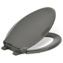 Cachet Elongated Closed-Front Toilet Seat with Soft Close and Quick Release