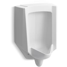 Bardon .125 GPF Wall Mounted Urinal with Rear Spud