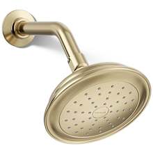 Artifacts 2.5 GPM Single Function Shower Head with Katalyst Air-Induction Technology