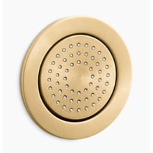 Traditional Round 54 Nozzle MasterClean Fixed Body Spray from WaterTile Collection