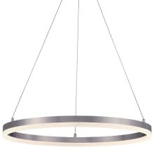 Recovery 24" Wide LED Pendant