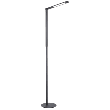 Task Portables 57" Tall LED Accent Floor Lamp