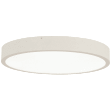 LED 22-1/2" Wide Flush Mount Ceiling Light from the U.G.O. Collection