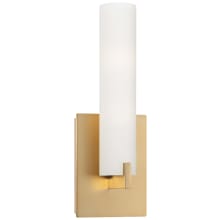 Tube 13" Tall Integrated LED Wall Sconce with Etched Opal Glass Shade