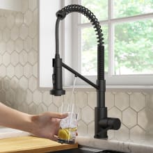 Bolden 1.8 GPM Single Hole Pre-Rinse Kitchen Faucet with Integrated Filter Faucet and 2-Stage Filtration System