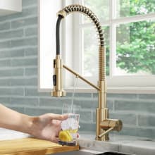 Bolden 1.8 GPM Single Hole Pre-Rinse Kitchen Faucet with Integrated Filter Faucet and 2-Stage Filtration System