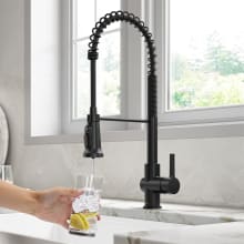 Britt 1.8 GPM Single Hole Pre-Rinse Kitchen Faucet with Integrated Filter Faucet and 2-Stage Filtration System