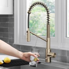 Oletto 1.8 GPM Single Hole Pre-Rinse Kitchen Faucet with Integrated Filter Faucet and 2-Stage Filtration System