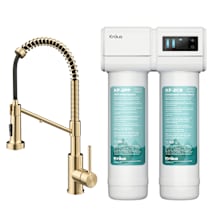 Bolden 1.8 GPM Single Hole Pre-Rinse Pull Down Kitchen Faucet with Filter System