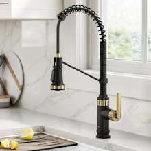 Allyn 1.8 GPM Single Hole Pre-Rinse Pull Down Kitchen Faucet