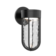 Davy 11" Tall LED Wall Sconce