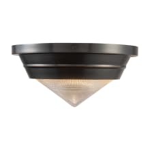 Willard 11" Wide Flush Mount Ceiling Fixture