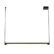 Laurence 2" Wide Linear Pendant