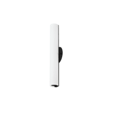 Bute 18" Tall LED Wall Sconce