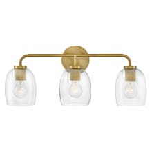 Percy 3 Light 24" Wide Bathroom Vanity Light