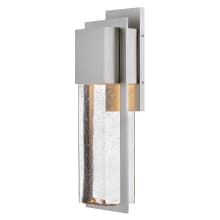 Alex 26" Tall LED Outdoor Wall Sconce with Seedy Glass Shade