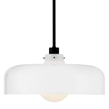 Maisie 15" Wide Pendant with Cased Opal Shade