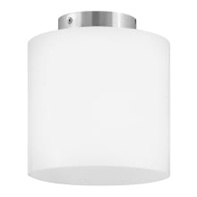 Pippa 9" Wide Semi-Flush Ceiling Fixture with Case Opal Glass Shade