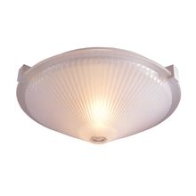 Flushmount Ceiling Fixture from the SandDollar Collection