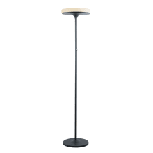 Batson 72" Tall LED Accent Floor Lamp