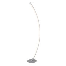 Monita 52" Tall LED Accent Floor Lamp