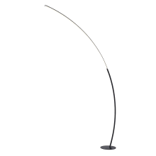 Monita 80" Tall LED Accent Floor Lamp