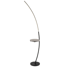 Monita 68" Tall LED Dual Function Floor Lamp