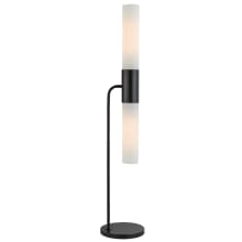 Dulance 2 Light 60" Tall LED Column Floor Lamp