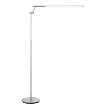 Tilla 60" Tall LED Accent Floor Lamp