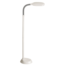 Aptos Single Light 52-1/2" High Floor Lamp