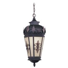 Berkshire 1 Light Outdoor Pendant