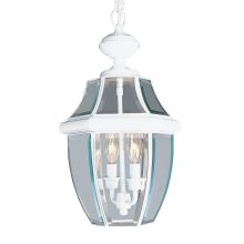 Monterey 2 Light Outdoor Pendant