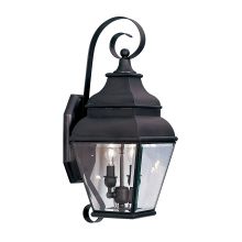 Exeter 2 Light 21-1/2" Tall Outdoor Wall Sconce with Clear Glass Shade