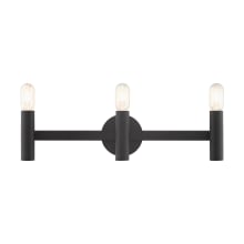 Copenhagen 3 Light 24" Wide Bathroom Vanity Light