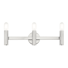 Copenhagen 3 Light 24" Wide Bathroom Vanity Light