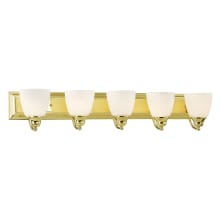 Springfield 5 Light Vanity Light with Hand-Blown Glass Shades