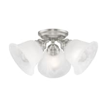 Essex Semi-Flush Ceiling Fixture with 3 Lights