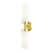 Aero 2 Light 19" Tall Bathroom Sconce