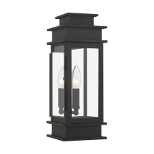 Princeton 1 Light Outdoor Wall Sconce with Clear Glass Shades