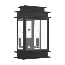 Princeton 2 Light Single Outdoor Wall Sconce with Clear Glass Shades