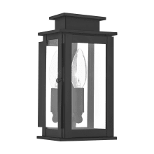 Princeton 1 Light Outdoor Wall Sconce with Clear Glass Shades