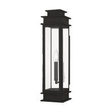 Princeton 1 Light Outdoor Wall Sconce with Clear Glass Shades