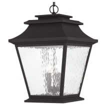 Hathaway 4 Light Outdoor Lantern Pendant