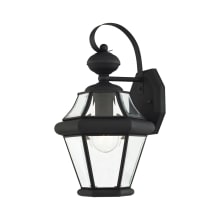 Georgetown Single Light 15" Tall Outdoor Wall Sconce with Clear Glass Shade