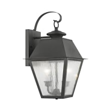 Mansfield 2 Light 17" High Outdoor Wall Sconce
