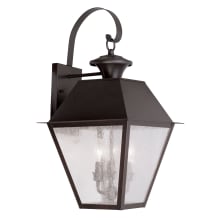 Mansfield 2 Light 22" High Outdoor Wall Sconce