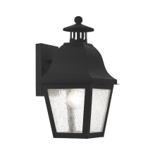 Amwell Single Light 13-1/2" High Outdoor Wall Sconce