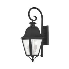 Amwell 2 Light 24-3/4" High Outdoor Wall Sconce